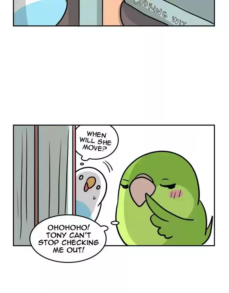 A Budgie's Life Chapter 389: Ep.387: