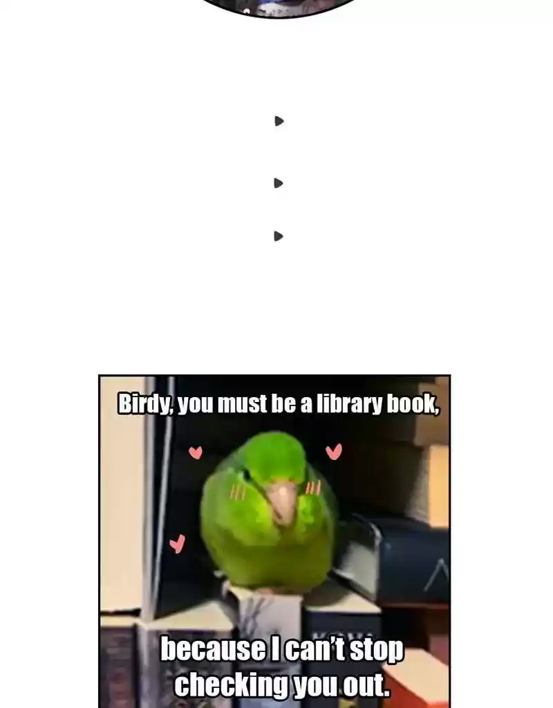 A Budgie's Life Chapter 389: Ep.387: