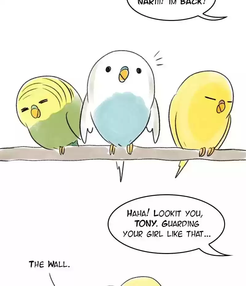 A Budgie's Life Chapter 39: Ep.39: