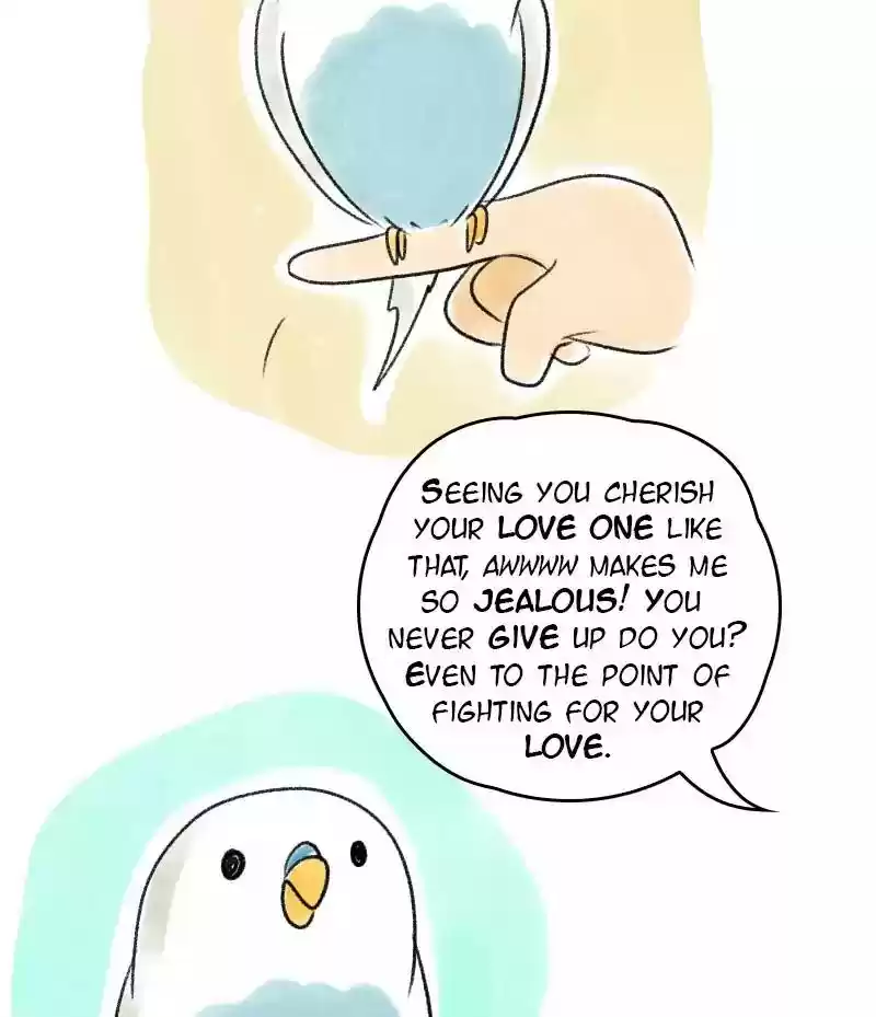 A Budgie's Life Chapter 39: Ep.39: