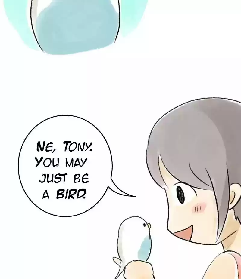 A Budgie's Life Chapter 39: Ep.39: