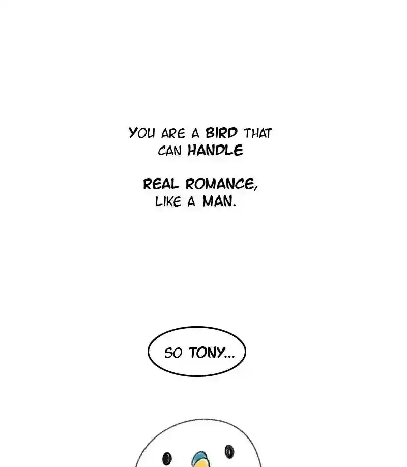 A Budgie's Life Chapter 39: Ep.39: