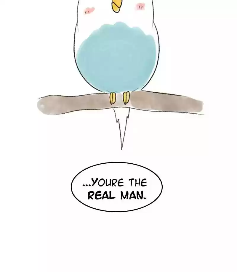 A Budgie's Life Chapter 39: Ep.39: