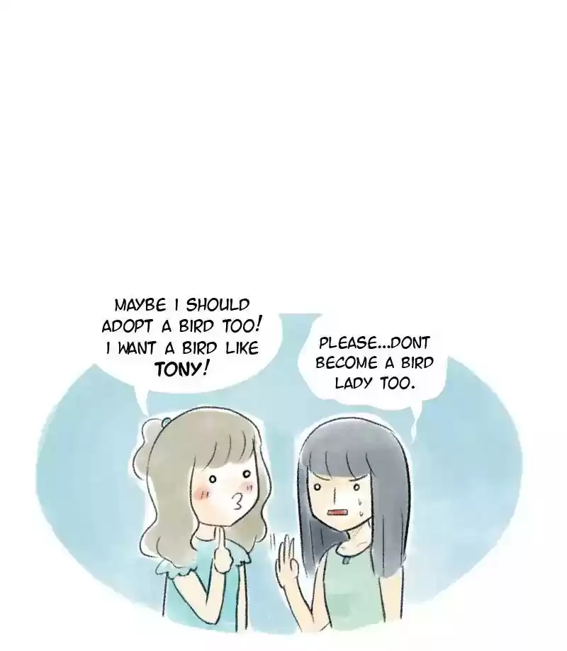 A Budgie's Life Chapter 39: Ep.39: