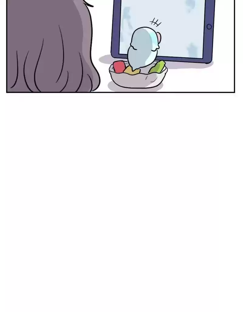 A Budgie's Life Chapter 390: Ep.388: