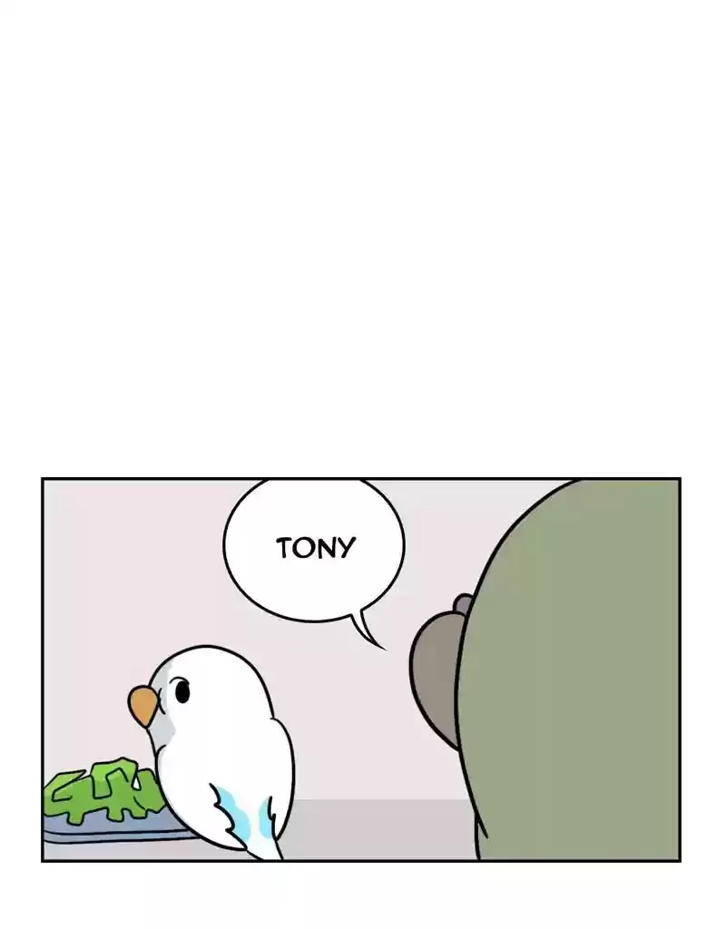 A Budgie's Life Chapter 391: Ep.389: