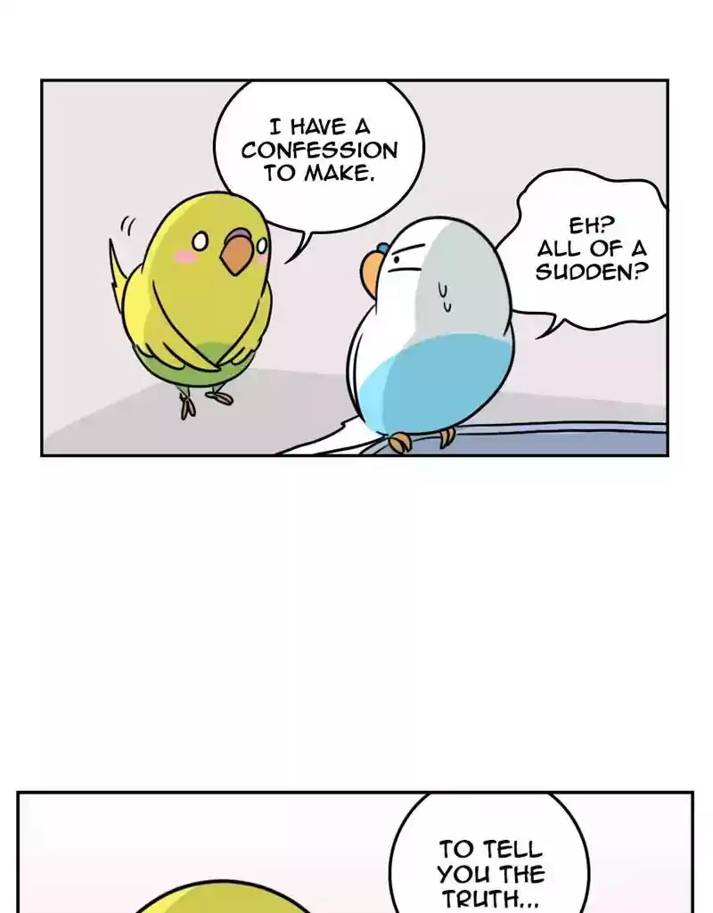 A Budgie's Life Chapter 391: Ep.389: