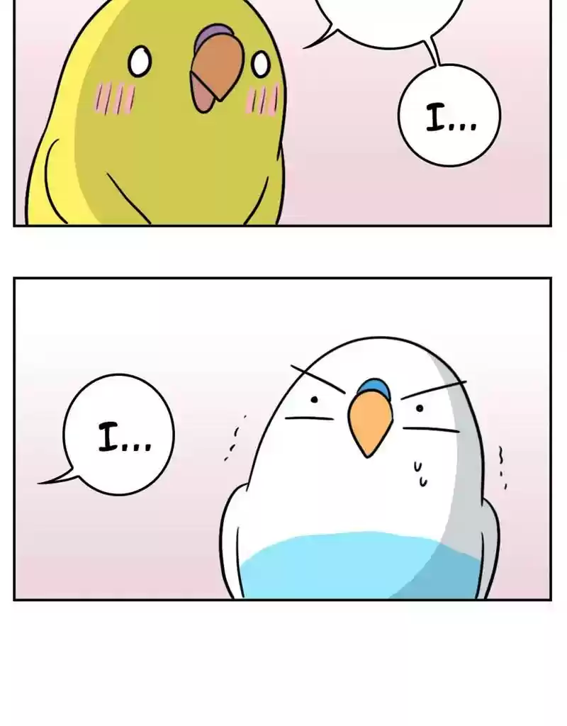 A Budgie's Life Chapter 391: Ep.389: