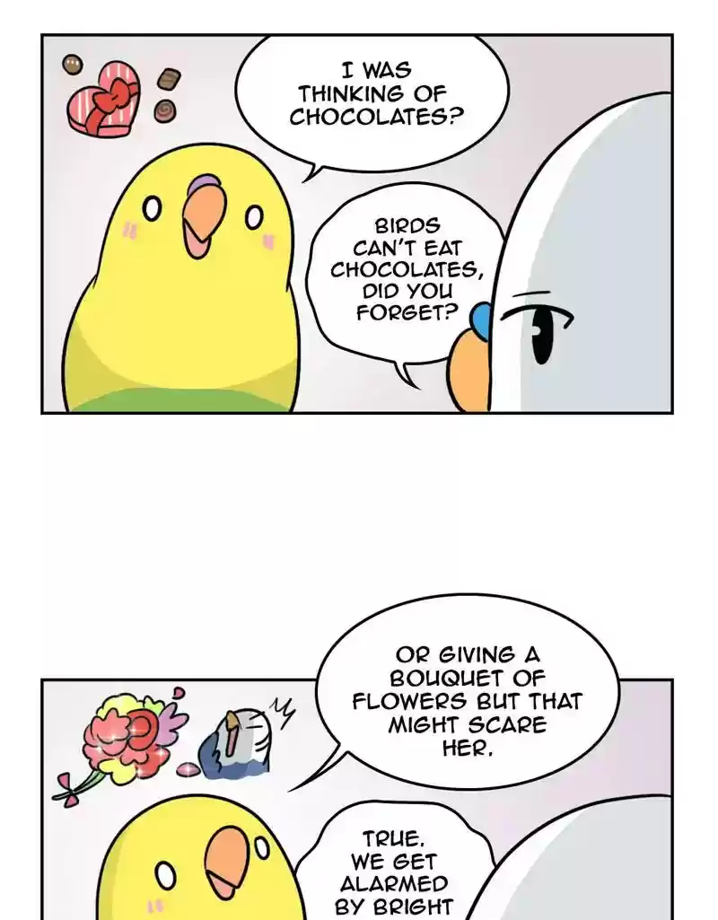 A Budgie's Life Chapter 391: Ep.389: