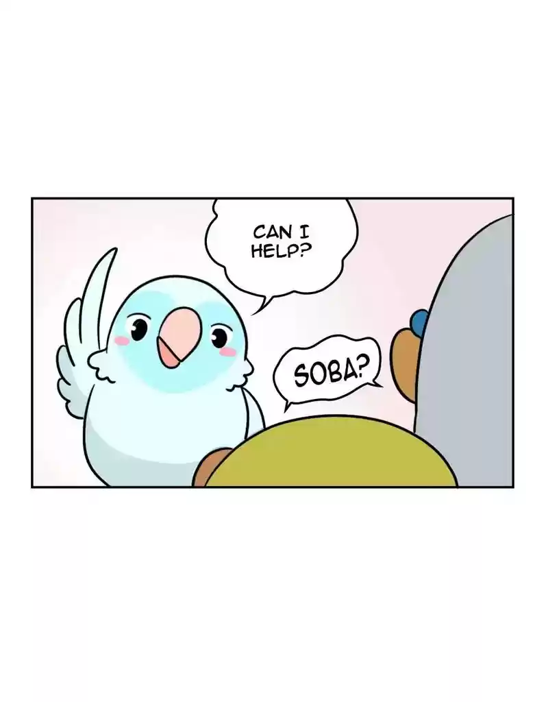 A Budgie's Life Chapter 391: Ep.389: