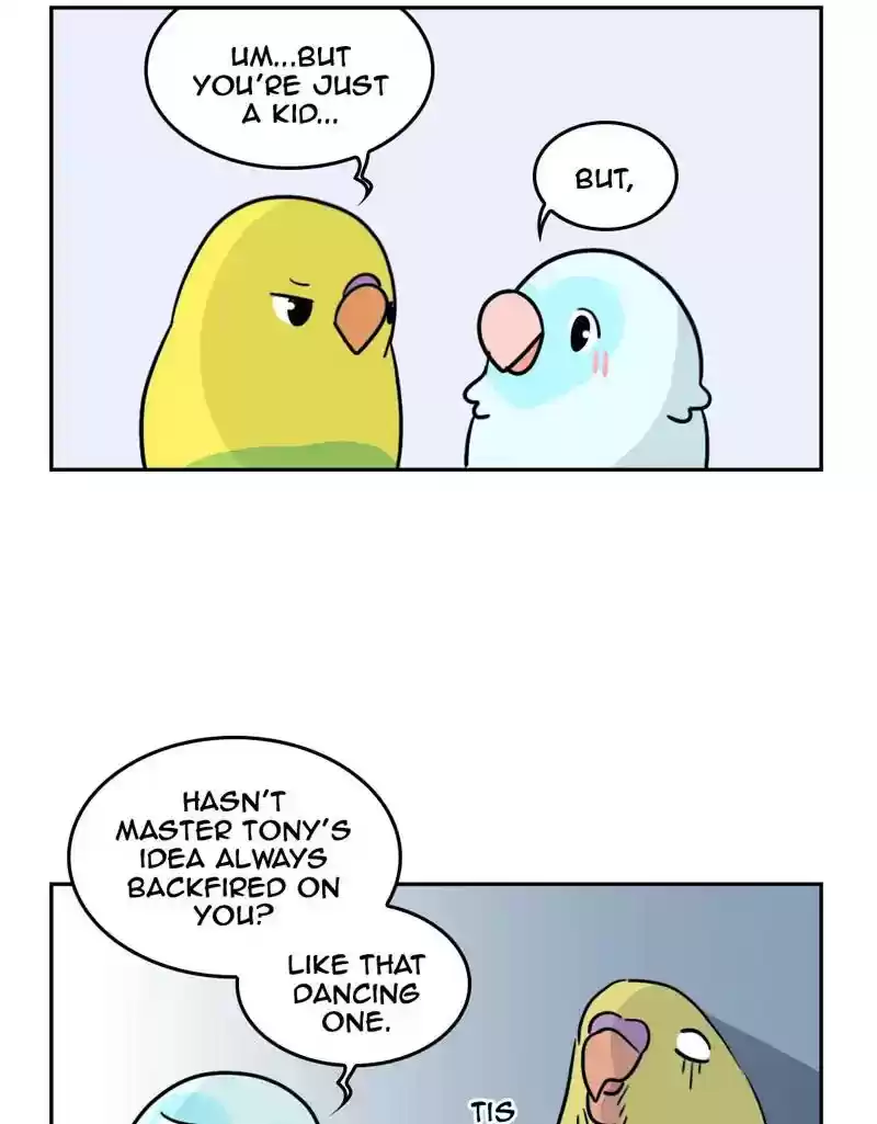 A Budgie's Life Chapter 391: Ep.389:
