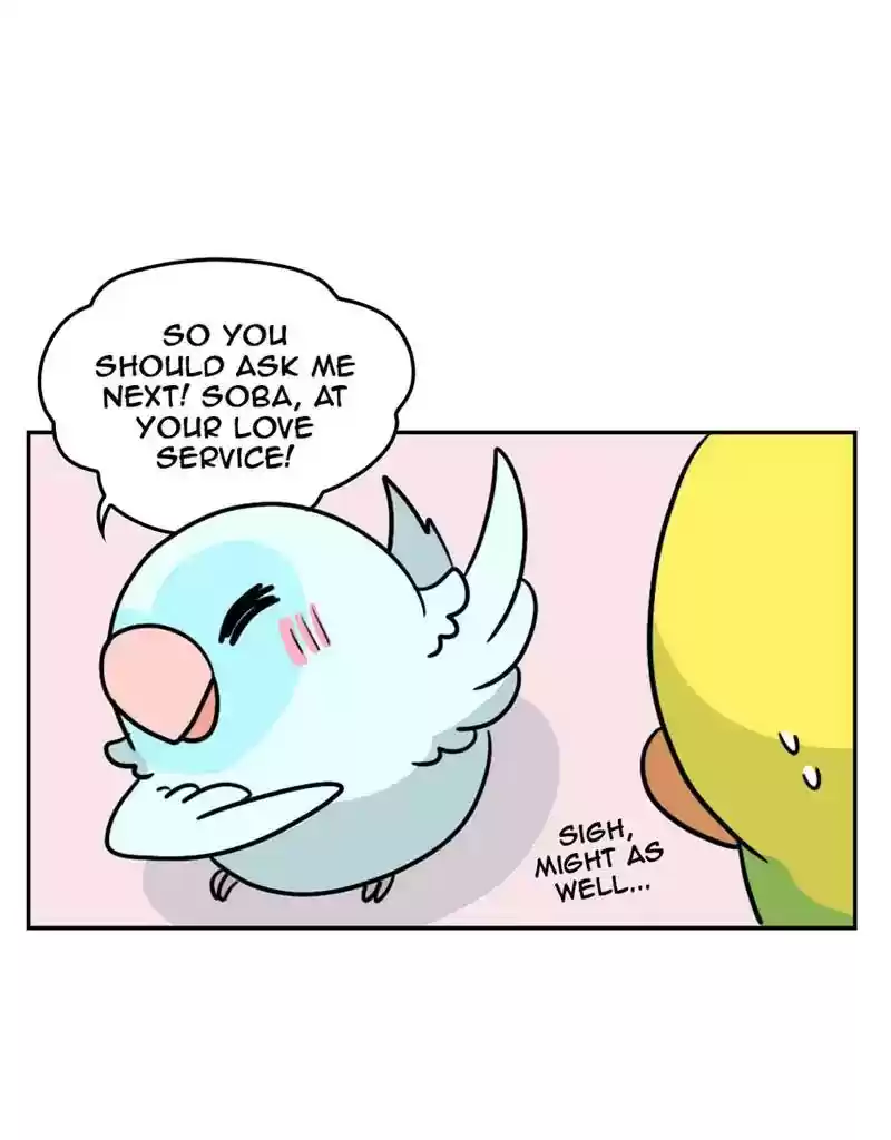 A Budgie's Life Chapter 391: Ep.389: