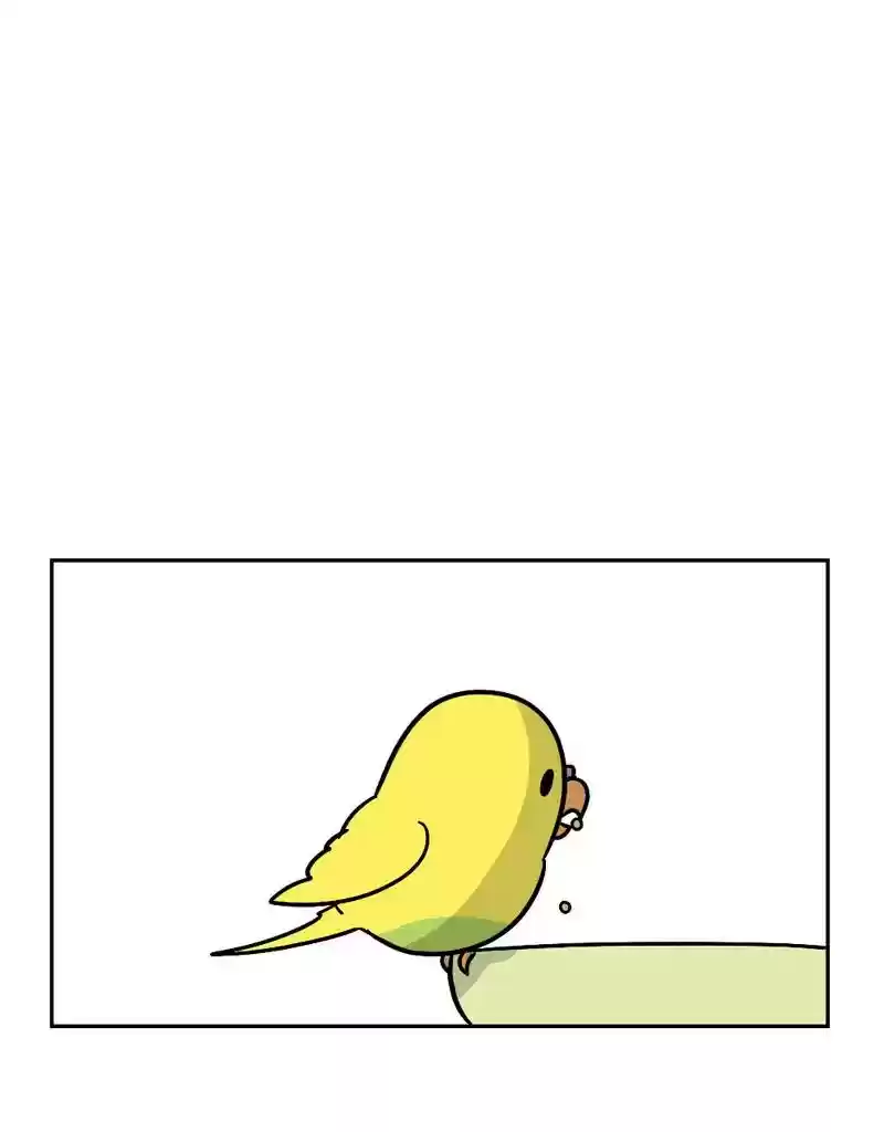 A Budgie's Life Chapter 392: Ep.390: