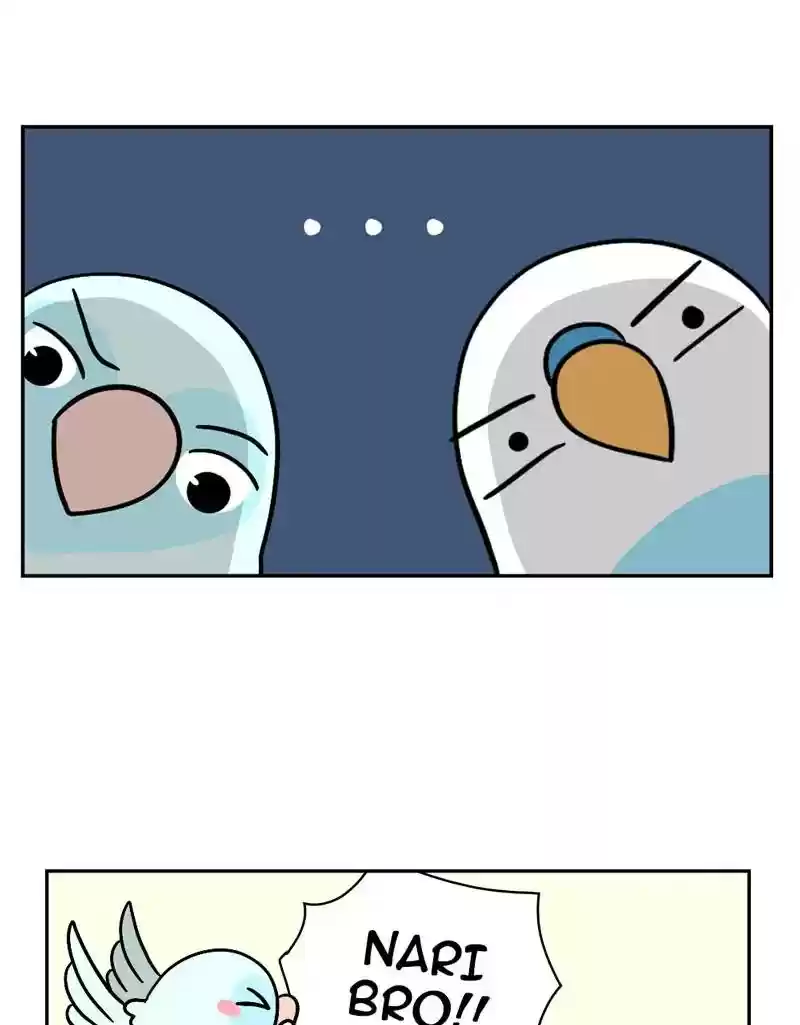 A Budgie's Life Chapter 392: Ep.390: