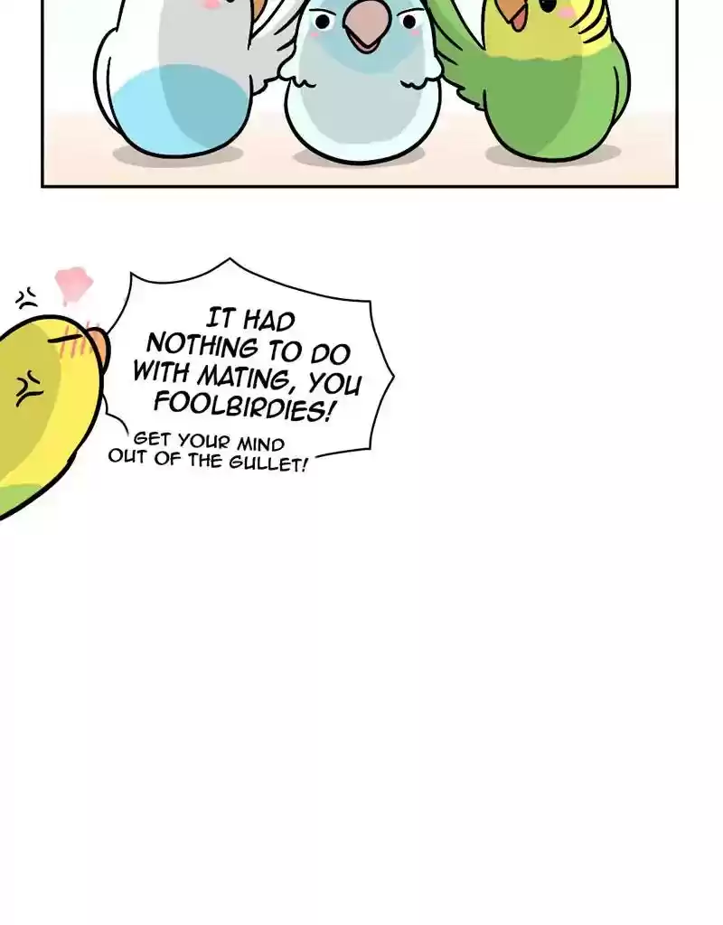 A Budgie's Life Chapter 392: Ep.390: