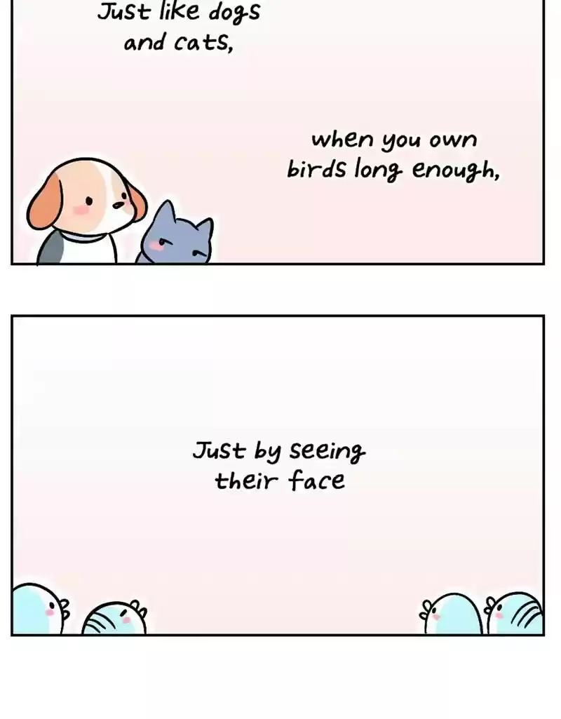 A Budgie's Life Chapter 392: Ep.390: