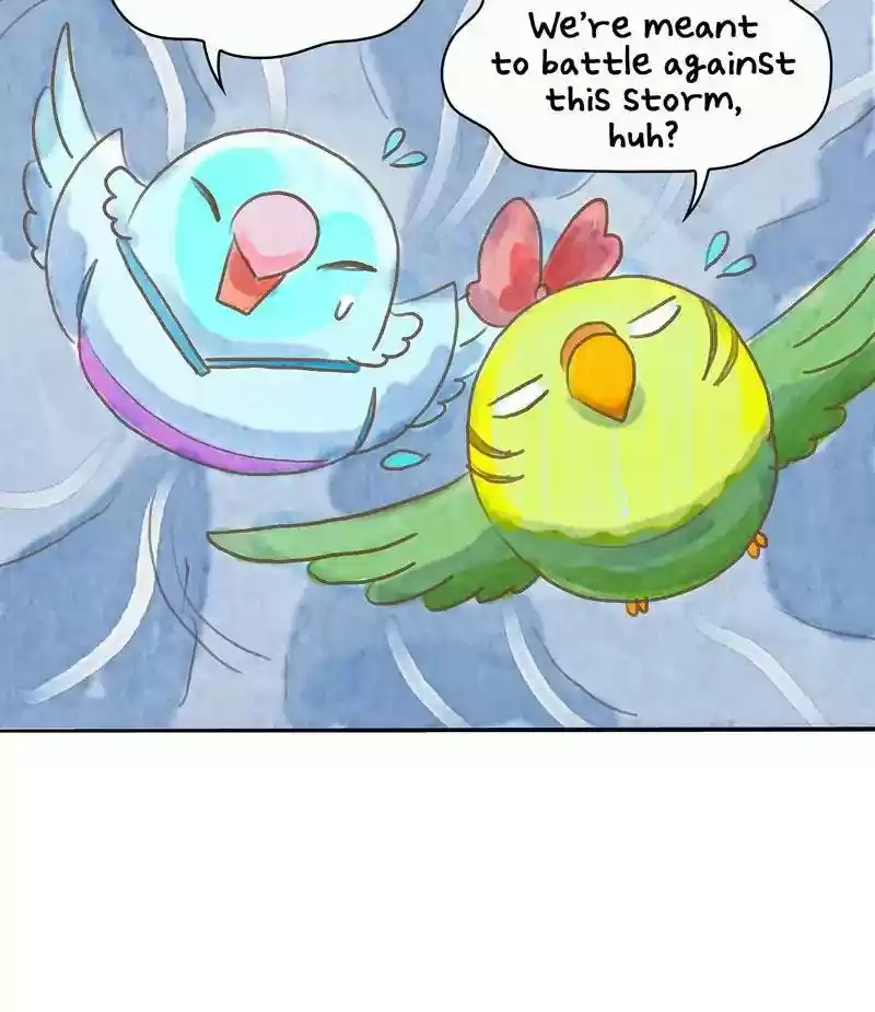 A Budgie's Life Chapter 394: Ep.392: