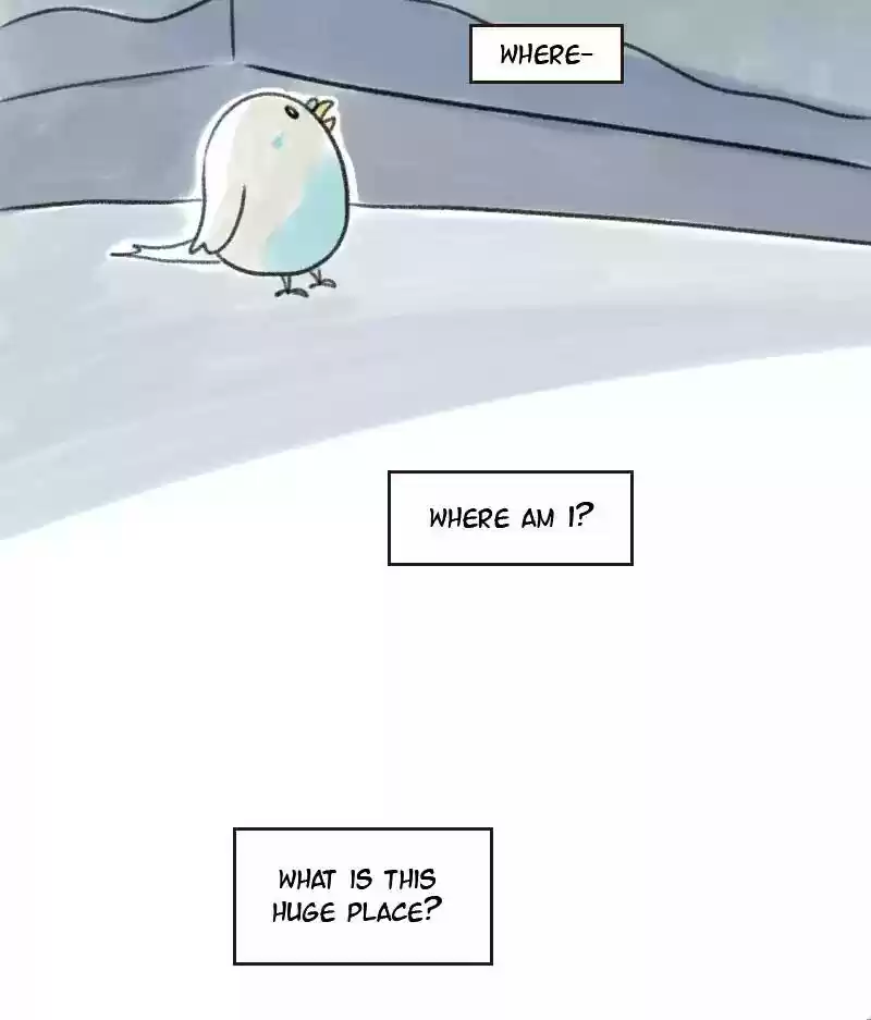 A Budgie's Life Chapter 4: Ep.4: