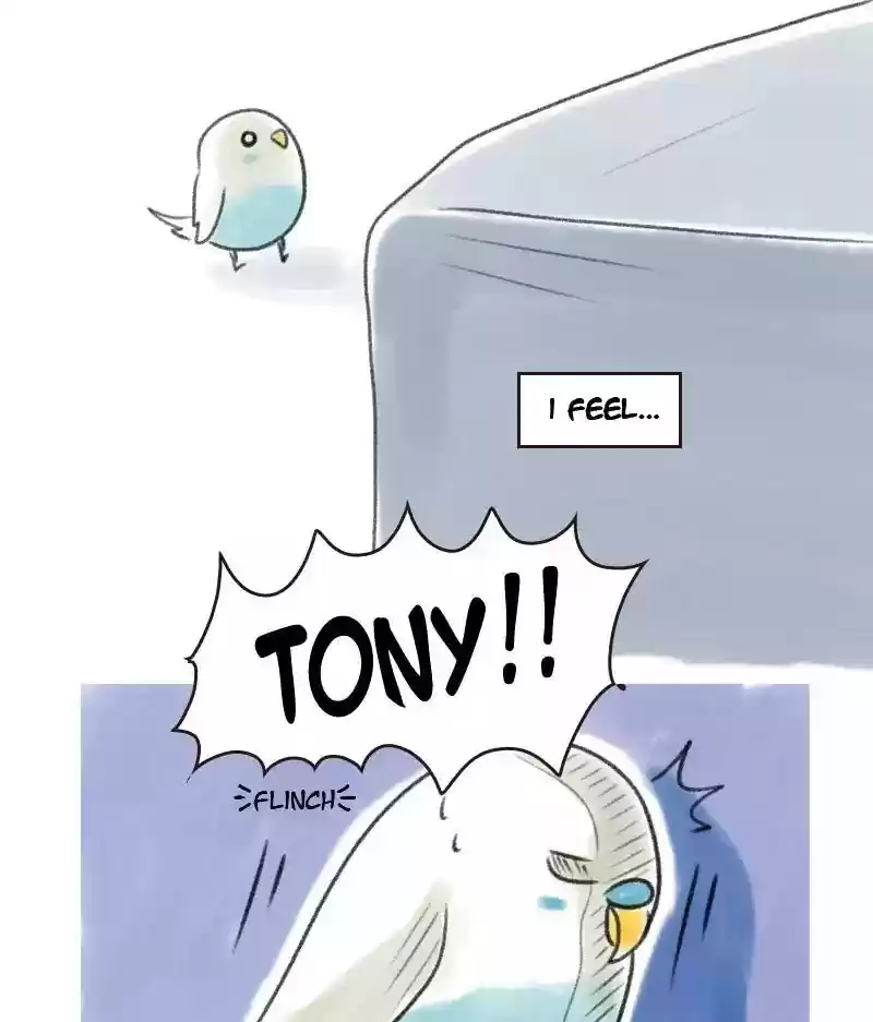 A Budgie's Life Chapter 4: Ep.4: