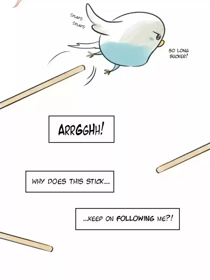 A Budgie's Life Chapter 4: Ep.4: