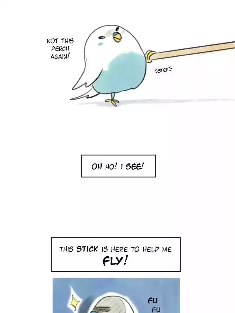 A Budgie's Life Chapter 4: Ep.4: