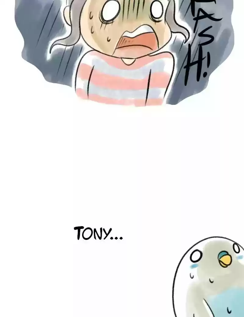 A Budgie's Life Chapter 4: Ep.4: