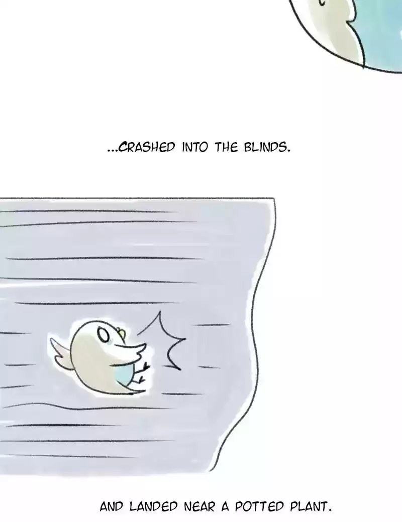 A Budgie's Life Chapter 4: Ep.4: