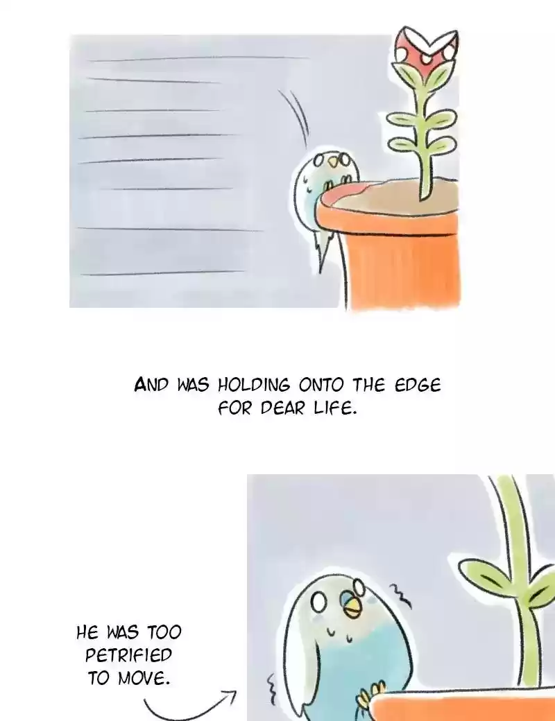 A Budgie's Life Chapter 4: Ep.4: