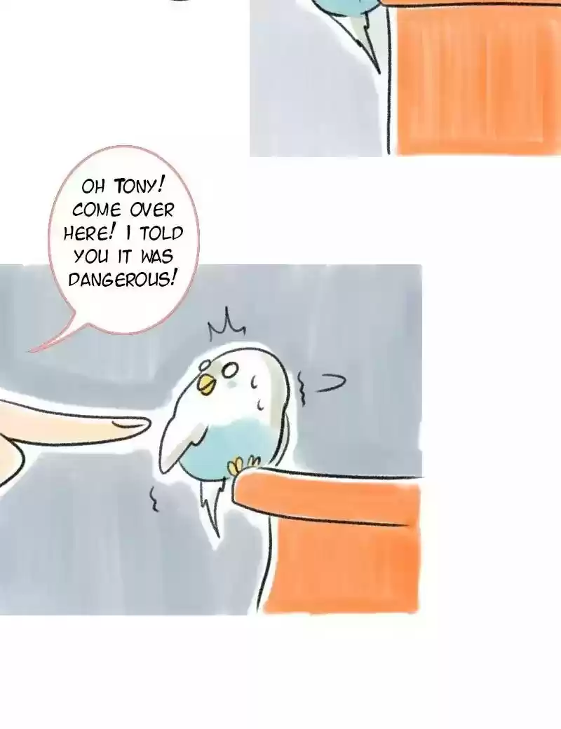 A Budgie's Life Chapter 4: Ep.4: