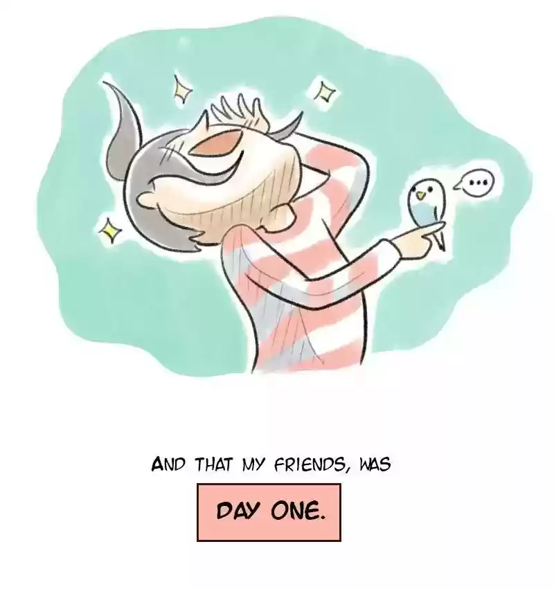 A Budgie's Life Chapter 4: Ep.4: