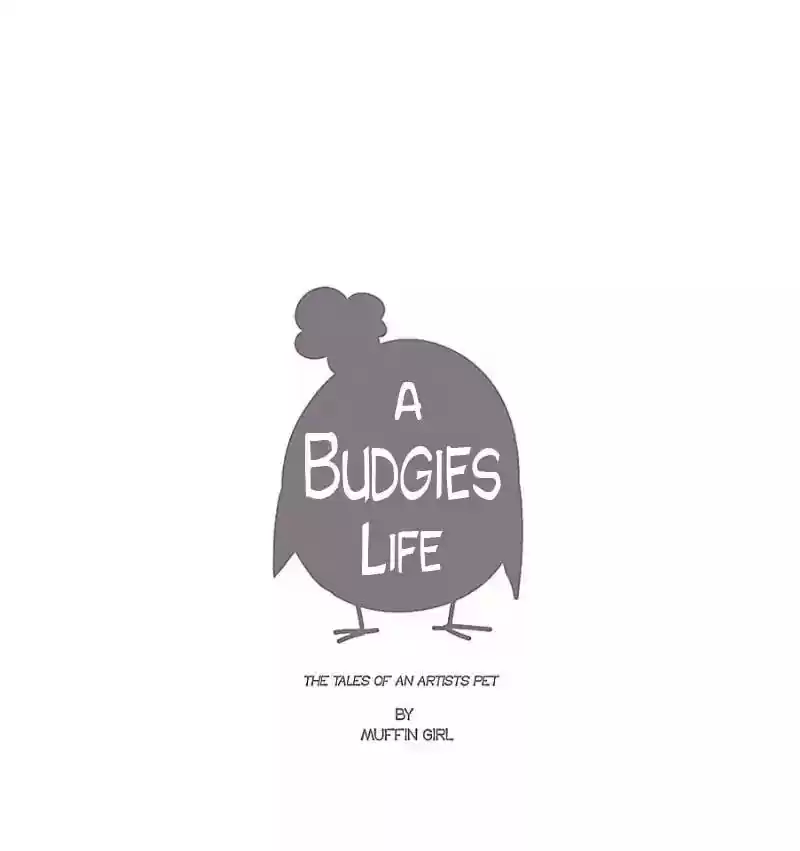 A Budgie's Life Chapter 4: Ep.4: