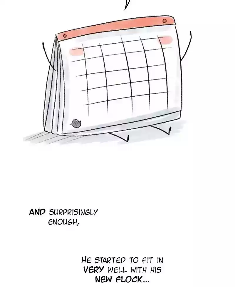 A Budgie's Life Chapter 40: Ep.40: