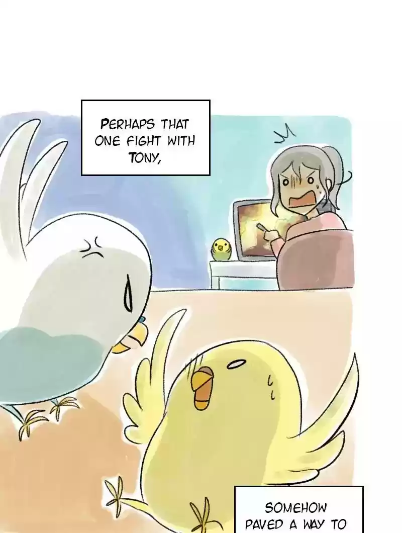 A Budgie's Life Chapter 40: Ep.40: