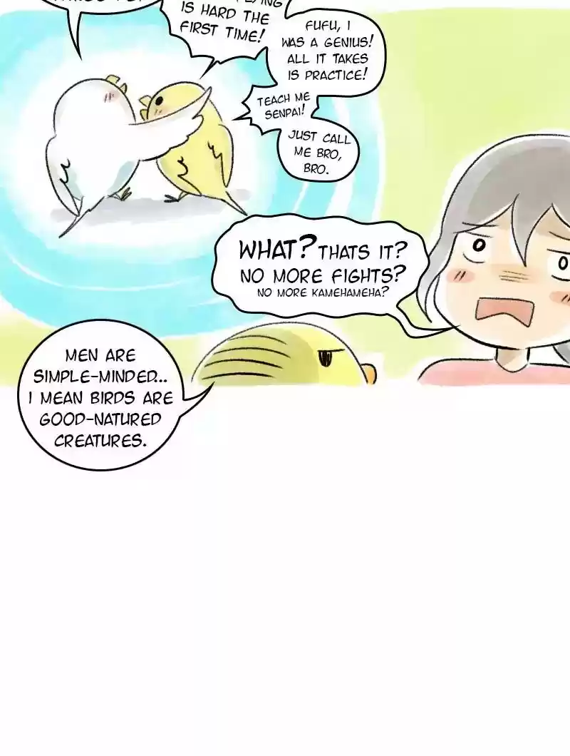 A Budgie's Life Chapter 40: Ep.40: