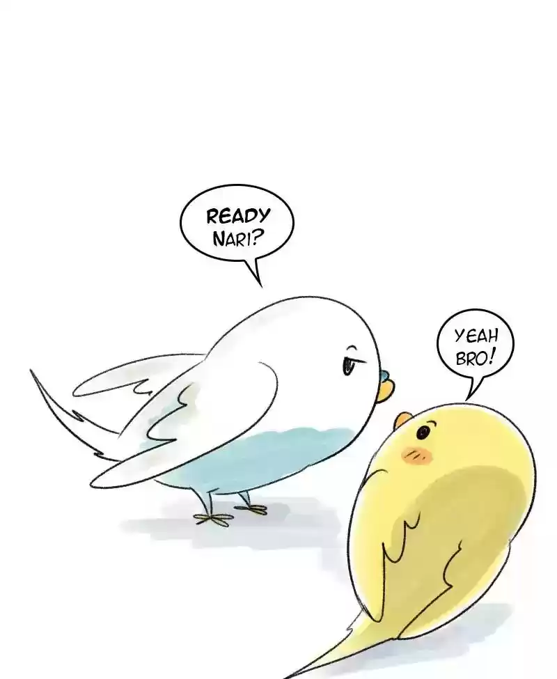 A Budgie's Life Chapter 40: Ep.40: