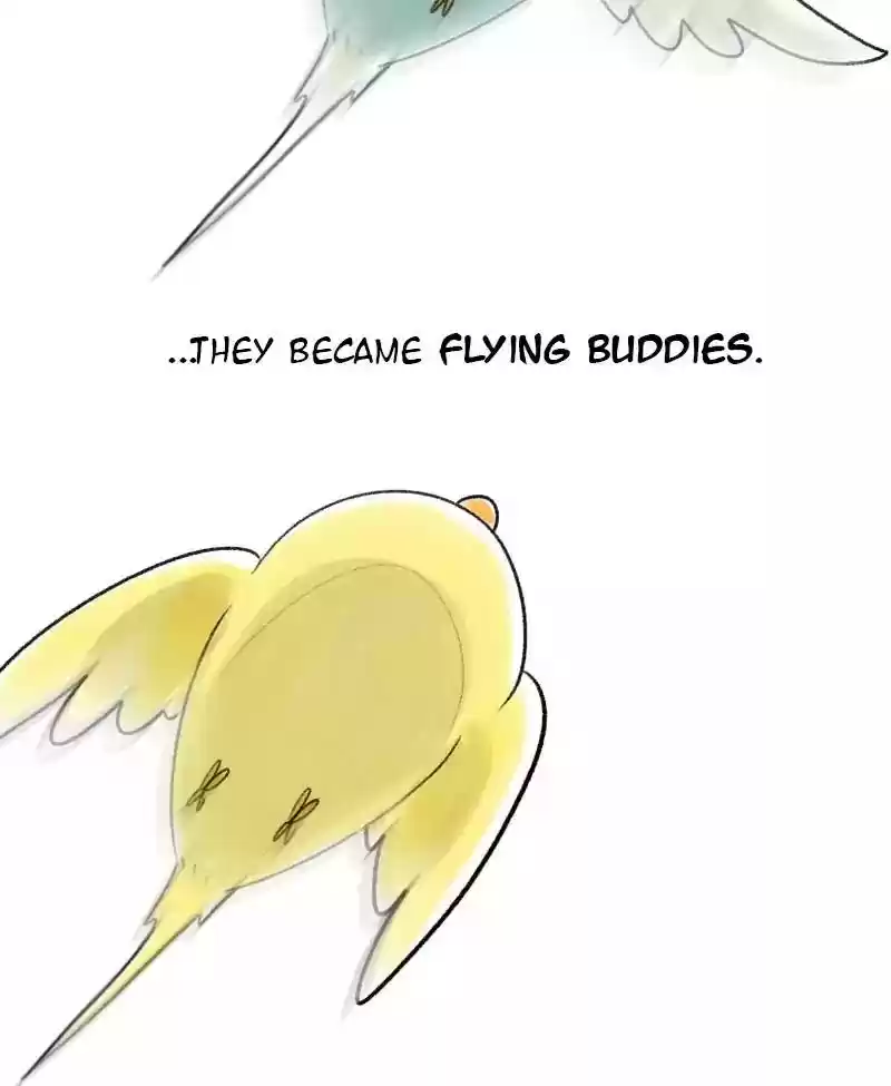 A Budgie's Life Chapter 40: Ep.40: