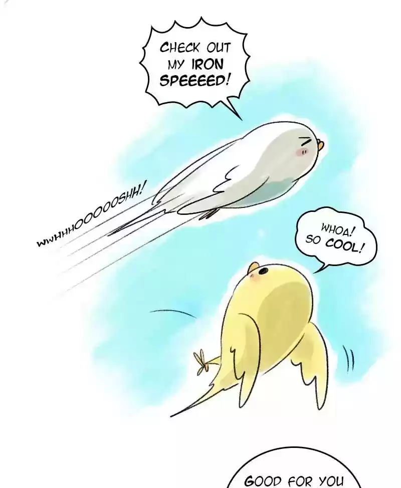 A Budgie's Life Chapter 40: Ep.40: