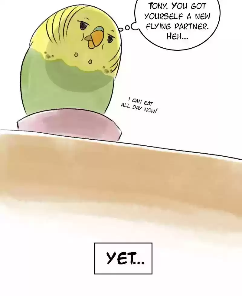 A Budgie's Life Chapter 40: Ep.40: