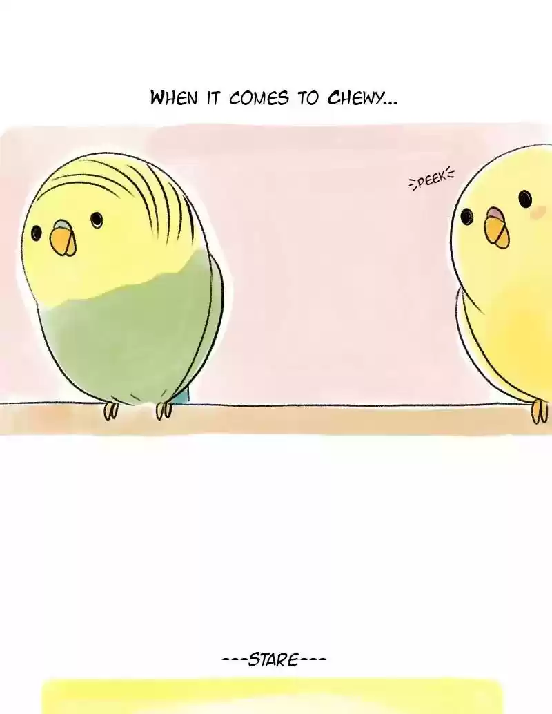 A Budgie's Life Chapter 40: Ep.40: