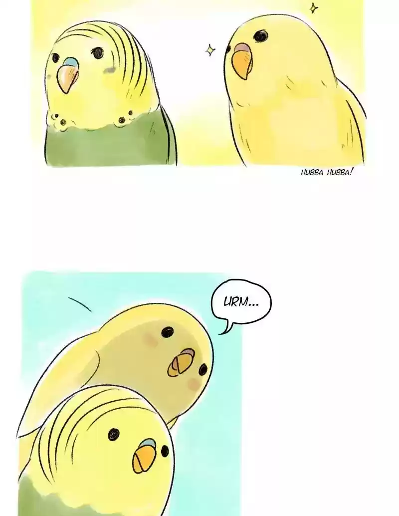 A Budgie's Life Chapter 40: Ep.40: