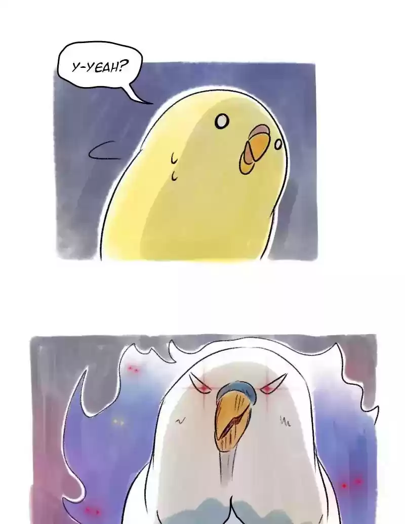 A Budgie's Life Chapter 40: Ep.40: