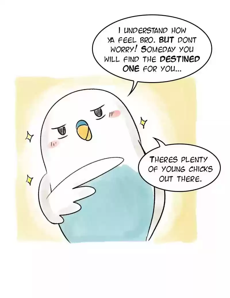 A Budgie's Life Chapter 40: Ep.40: