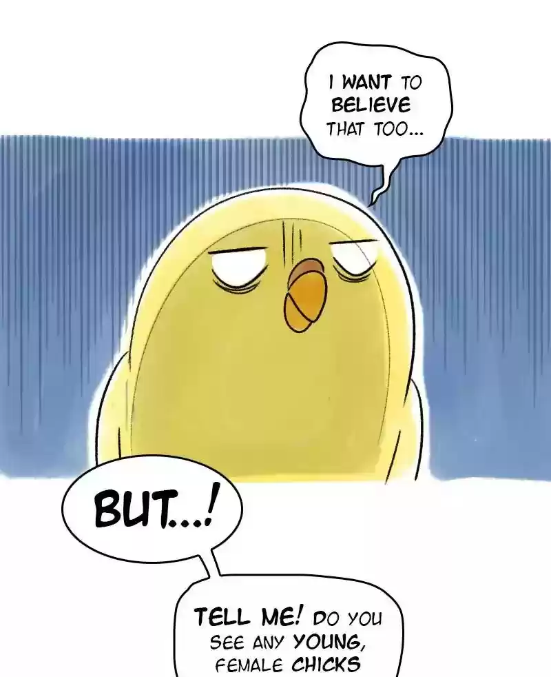 A Budgie's Life Chapter 40: Ep.40: