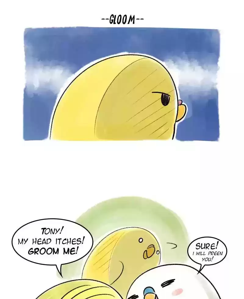 A Budgie's Life Chapter 40: Ep.40: