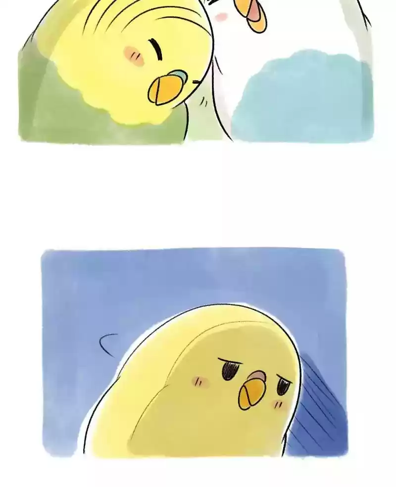 A Budgie's Life Chapter 40: Ep.40: