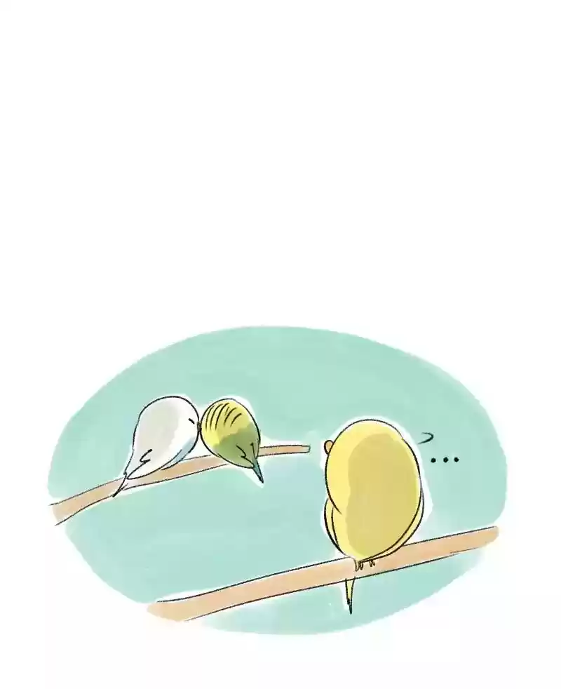 A Budgie's Life Chapter 40: Ep.40: