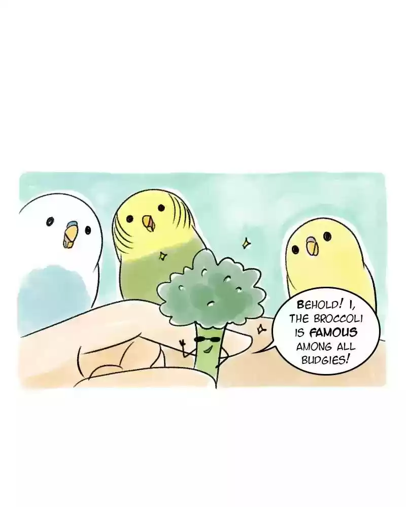 A Budgie's Life Chapter 41: Ep.41: