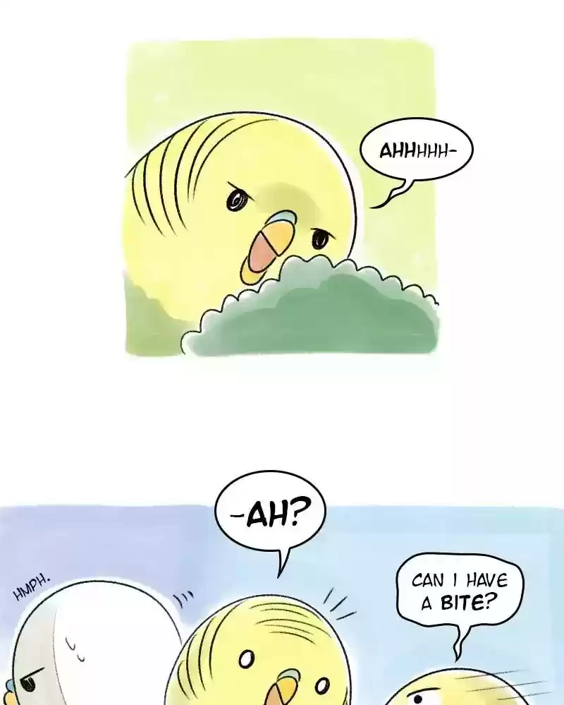 A Budgie's Life Chapter 41: Ep.41: