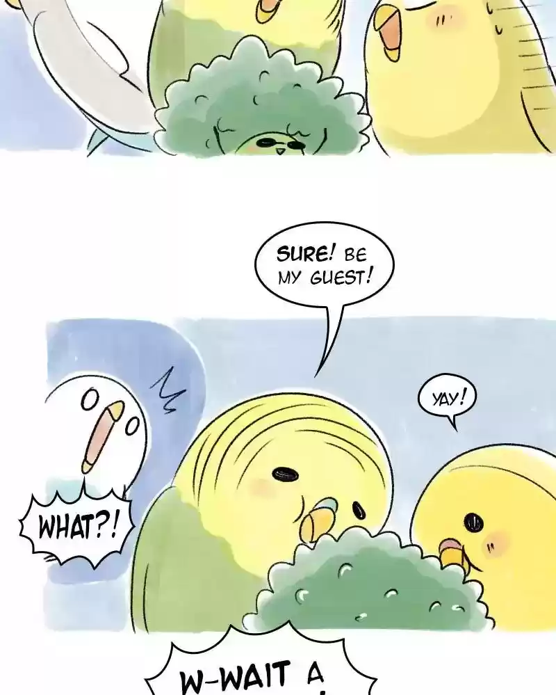 A Budgie's Life Chapter 41: Ep.41: