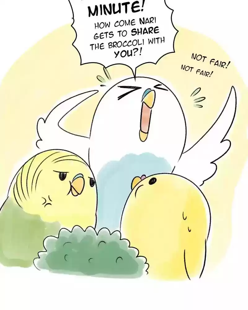 A Budgie's Life Chapter 41: Ep.41:
